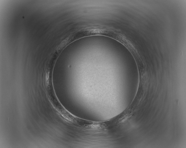 X0000083990406200702161138