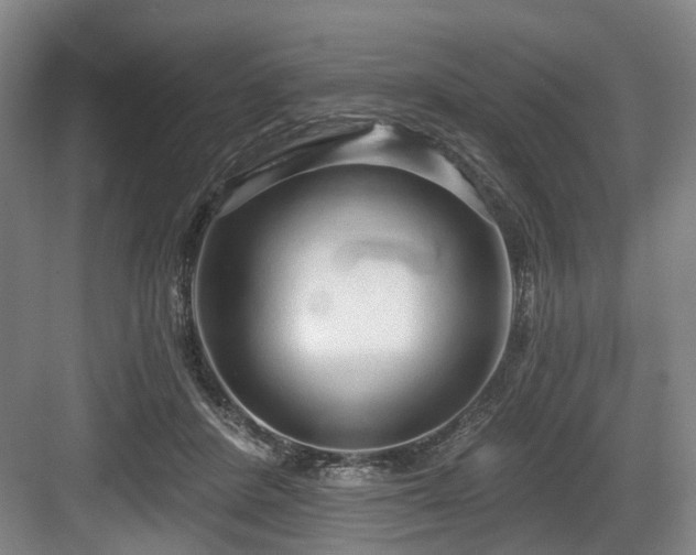 X0000083990408200702161137