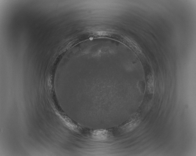 X0000083990410200702161137