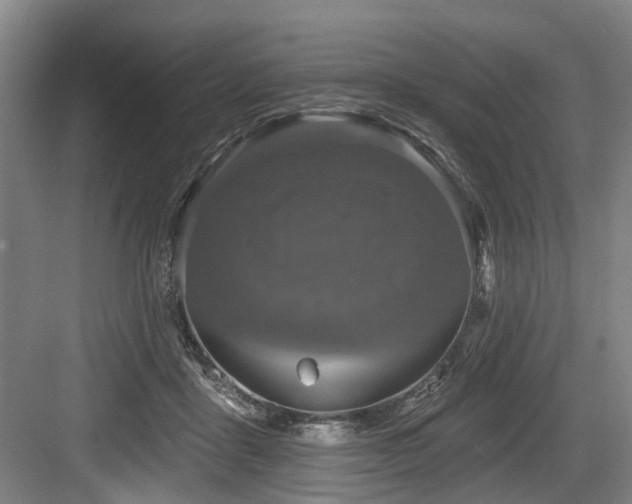 X0000083990411200702161137