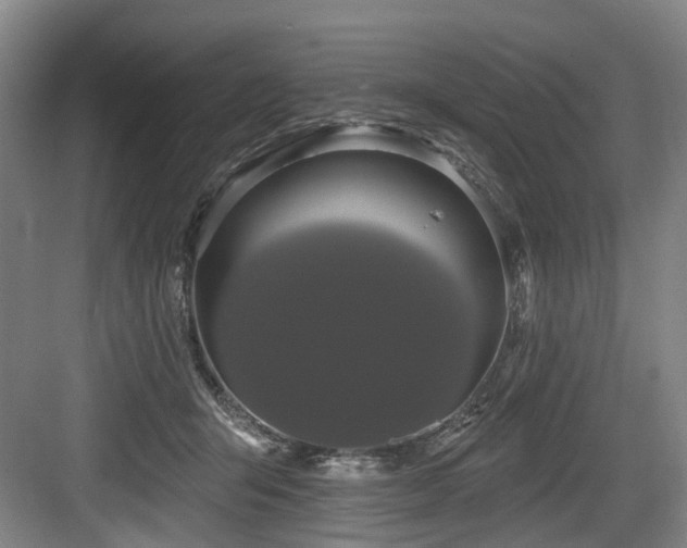 X0000083990415200702161137