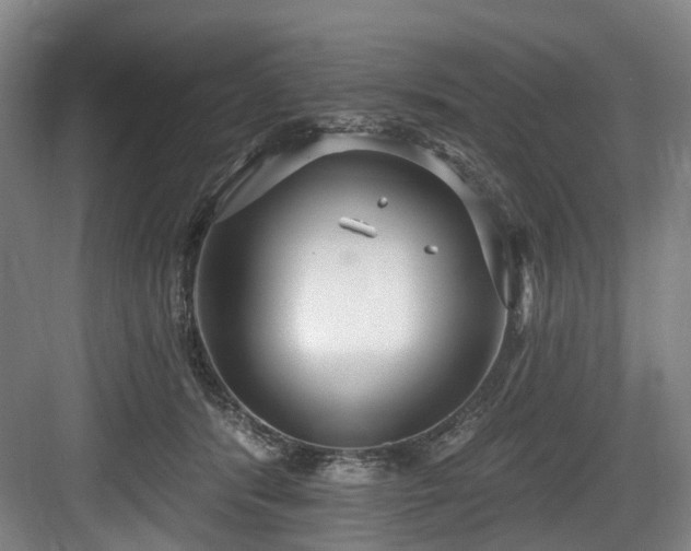 X0000083990416200702161137