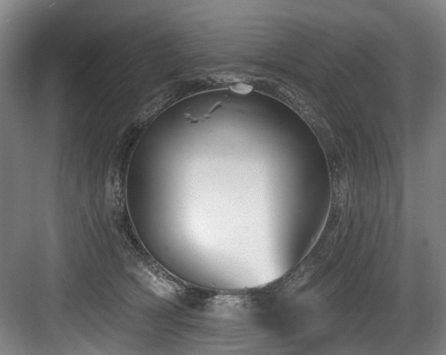 X0000083990418200702161137