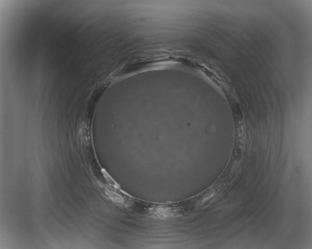 X0000083990419200702161137