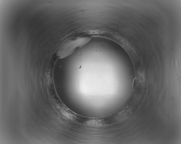 X0000083990422200702161137