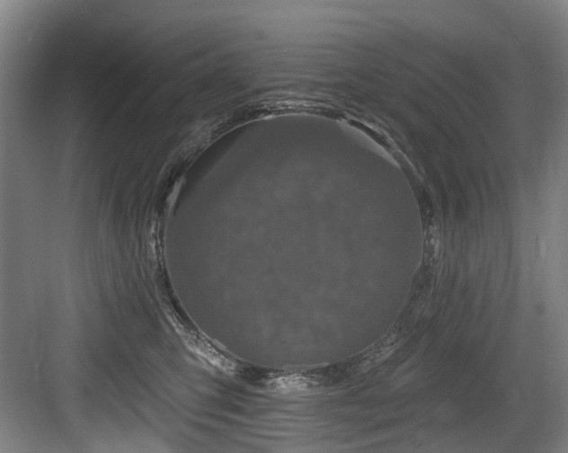 X0000083990423200702161137