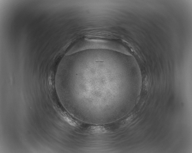 X0000083990424200702161137