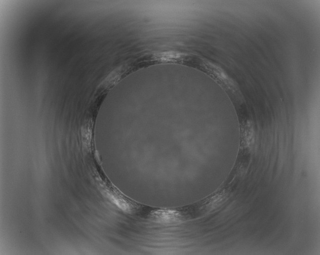 X0000083990427200702161137