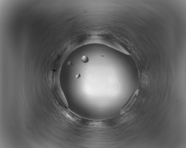 X0000083990428200702161137