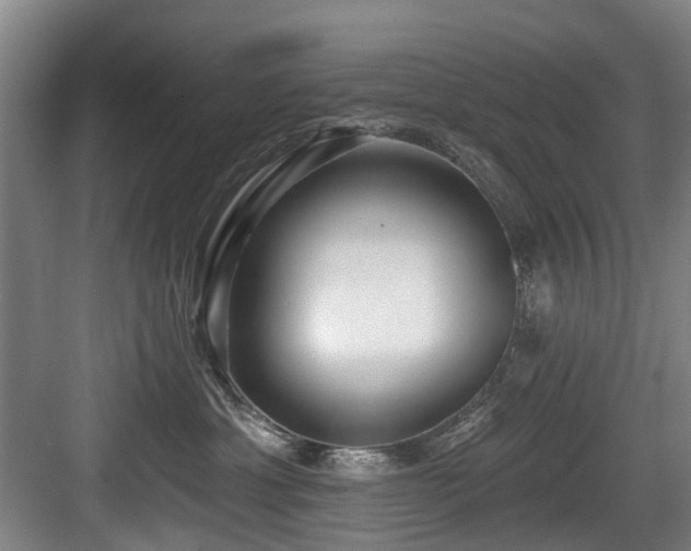 X0000083990429200702161137