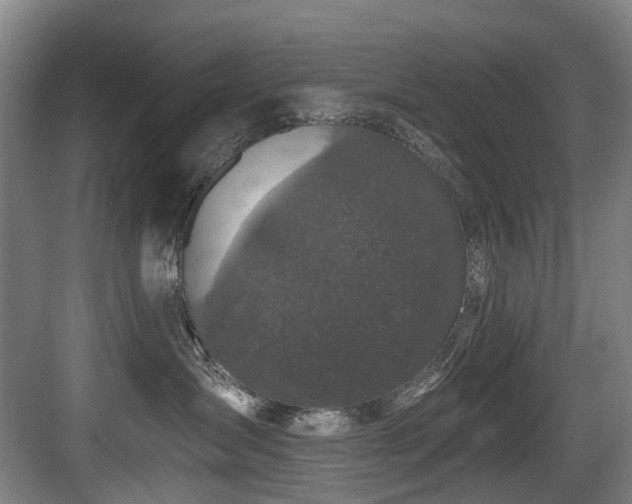 X0000083990431200702161137