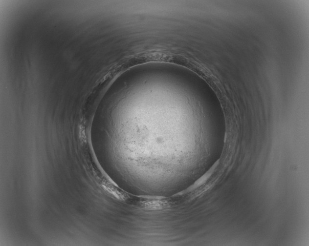 X0000083990432200702161137