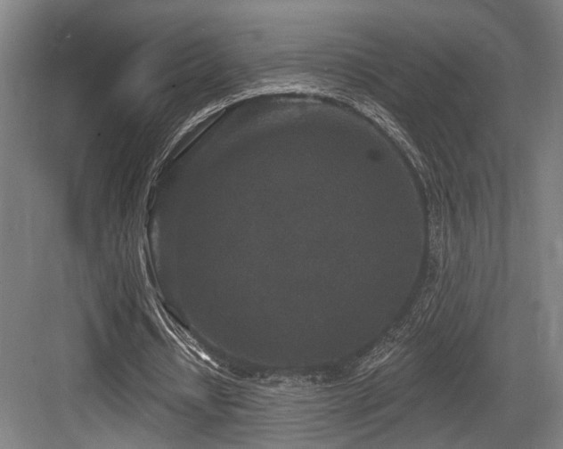 X0000083990434200702161136