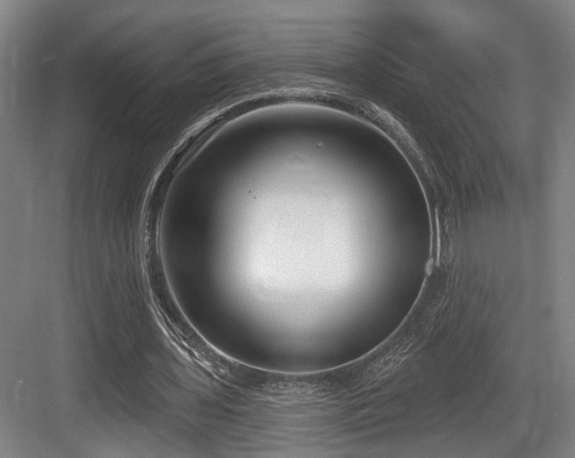 X0000083990435200702161136