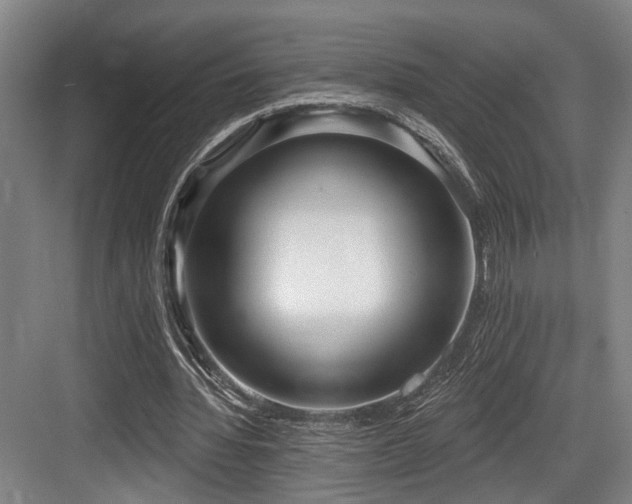 X0000083990436200702161136