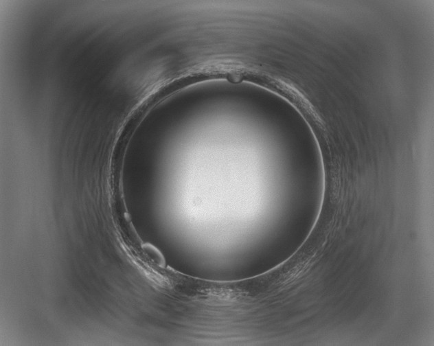 X0000083990439200702161136