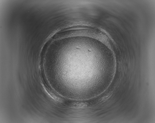 X0000083990443200702161136