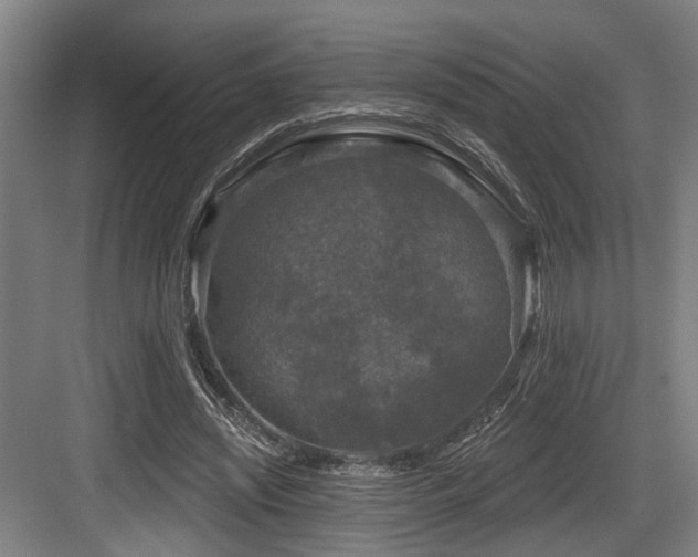 X0000083990444200702161136