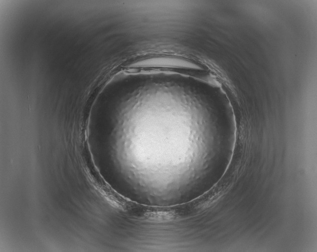 X0000083990449200702161137