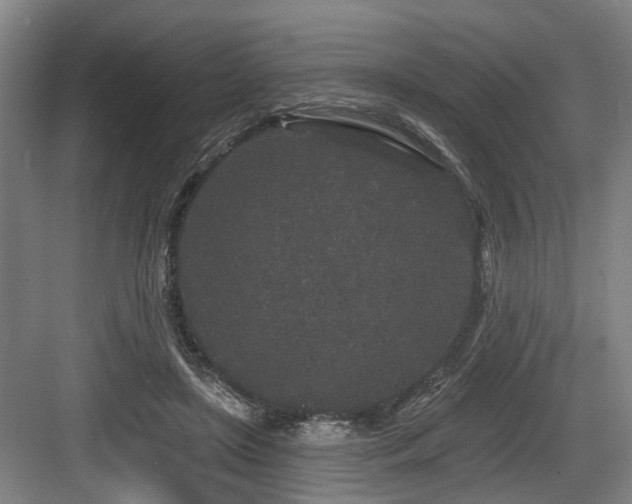 X0000083990451200702161137