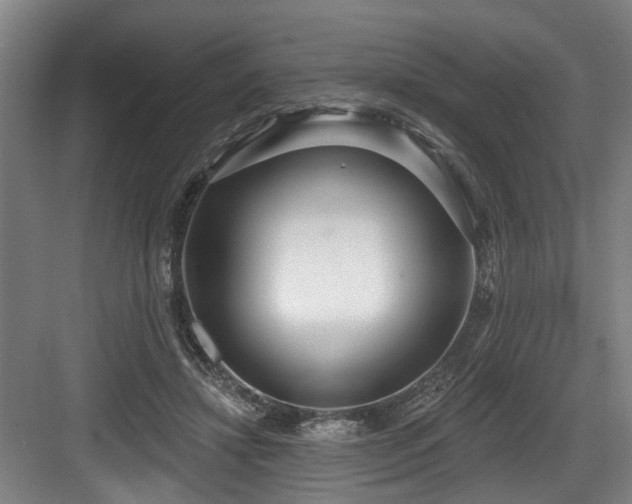 X0000083990452200702161137