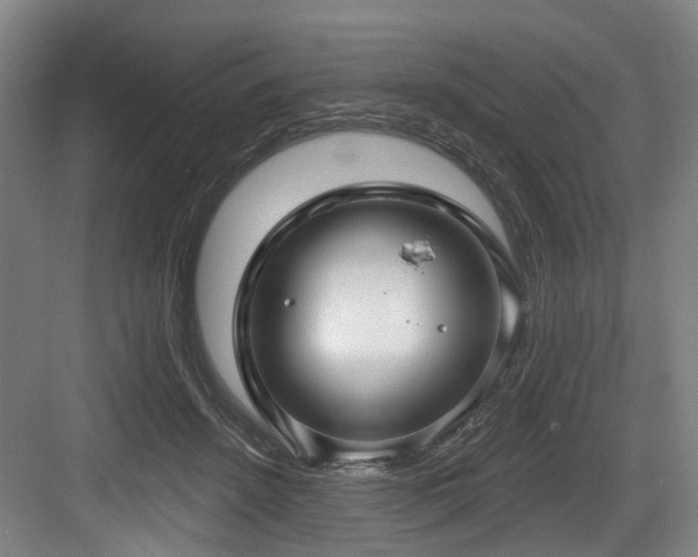 X0000083990456200702161137