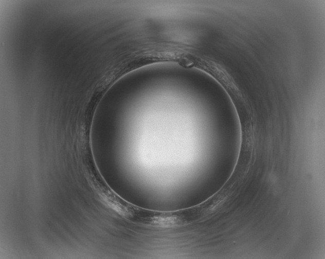 X0000083990457200702161137