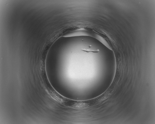 X0000083990459200702161137