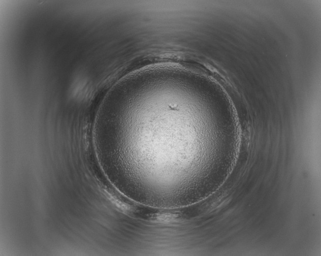 X0000083990462200702161137