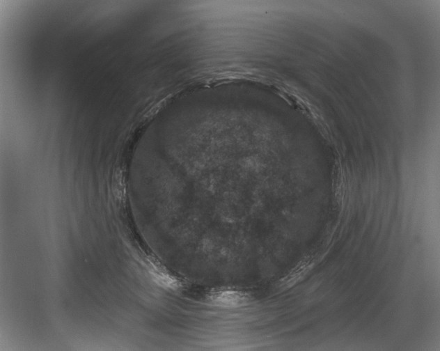 X0000083990467200702161137