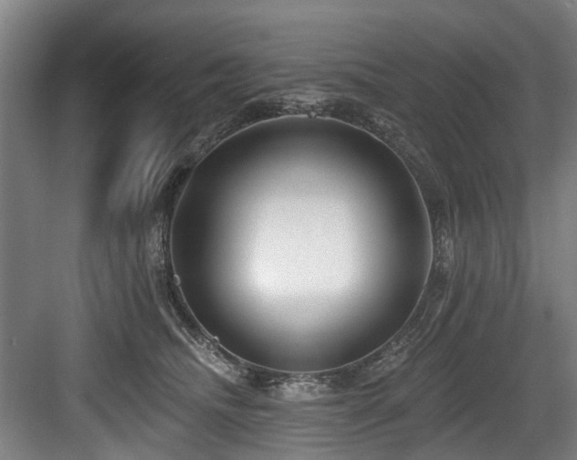 X0000083990468200702161137