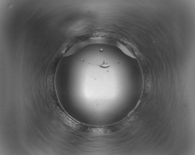 X0000083990473200702161137