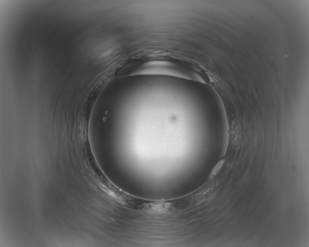 X0000083990474200702161137