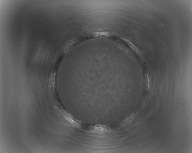 X0000083990475200702161137