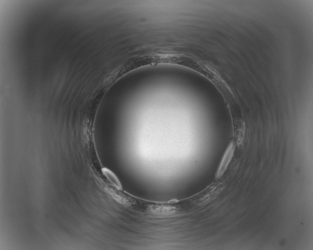 X0000083990476200702161137