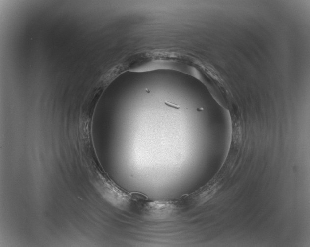 X0000083990477200702161137