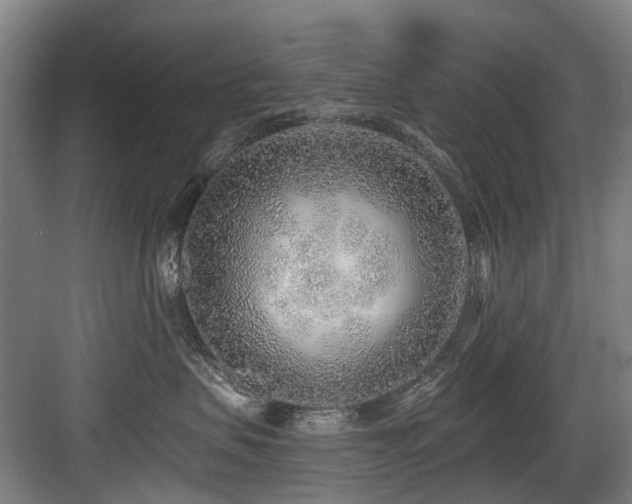 X0000083990479200702161137