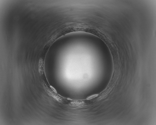 X0000083990480200702161137