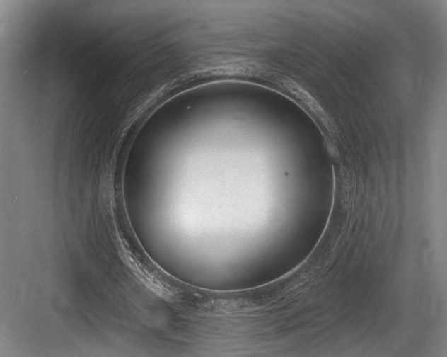 X0000083990482200702161136