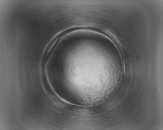 X0000083990483200702161136