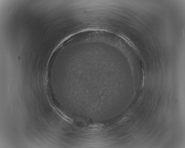 X0000083990484200702161136