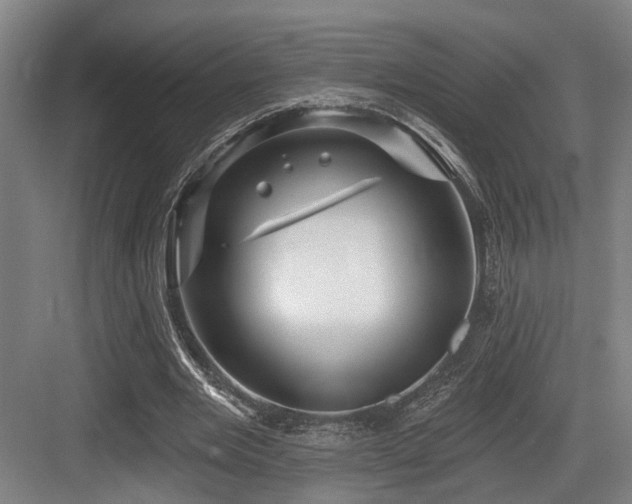 X0000083990485200702161136