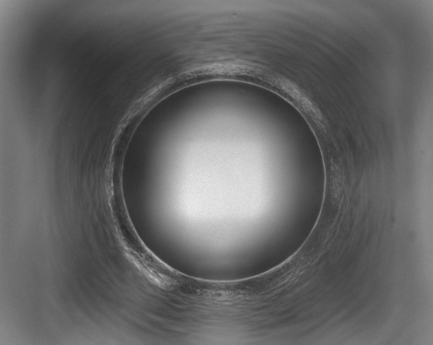 X0000083990486200702161136