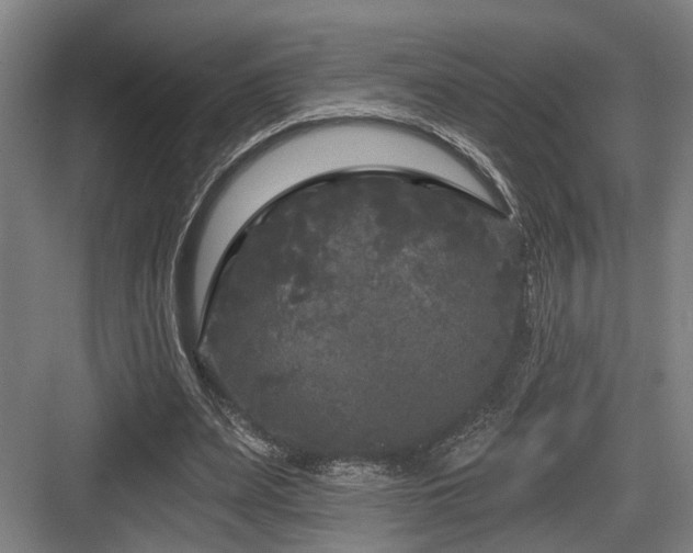 X0000083990487200702161136