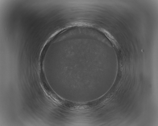 X0000083990488200702161136