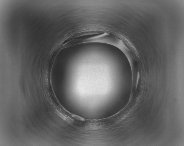 X0000083990489200702161136