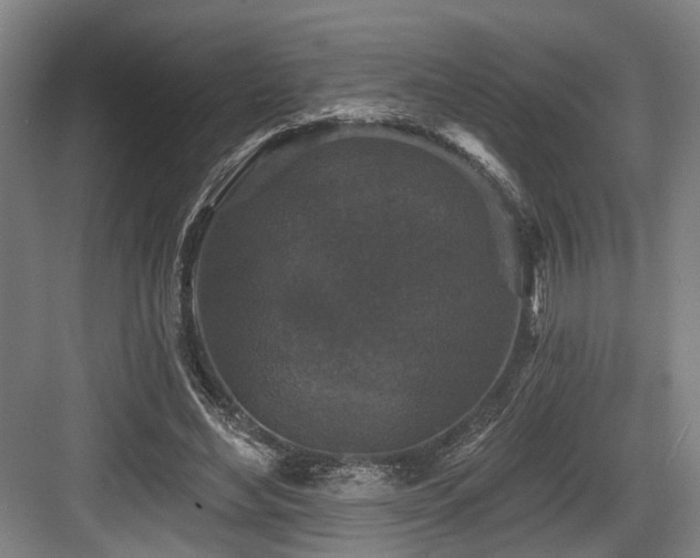 X0000083990492200702161136