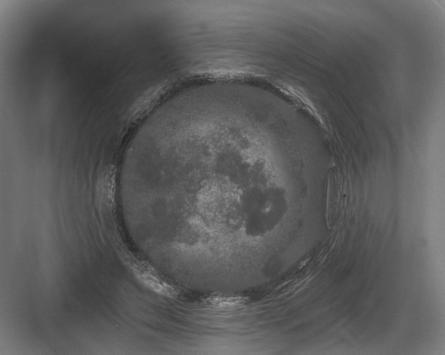 X0000083990495200702161136