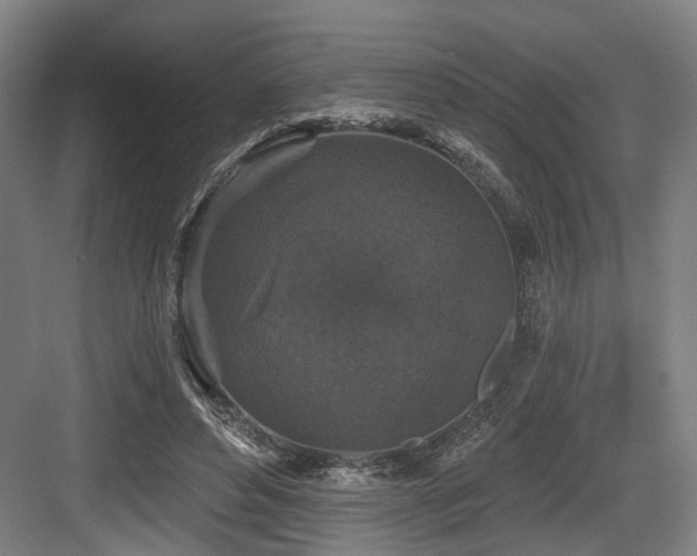 X0000083990496200702161136