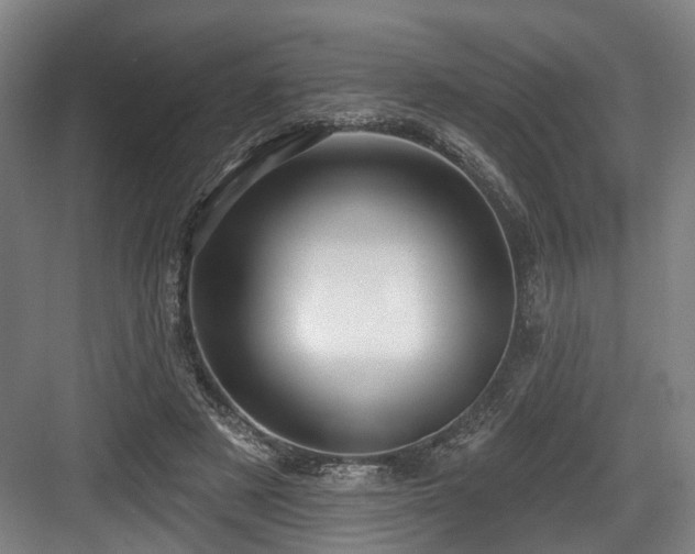 X0000083990497200702161136